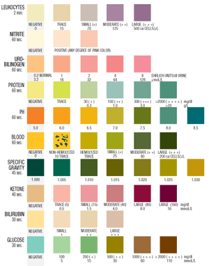 HealthScreen-10 urine reagent strip color chart image